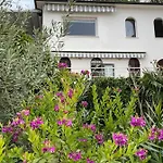 The House *