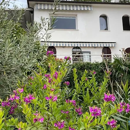 The House *